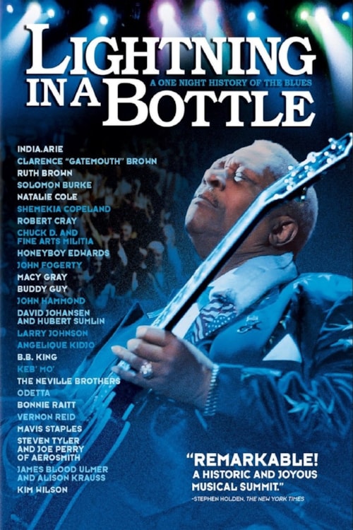 Lightning in a Bottle poster